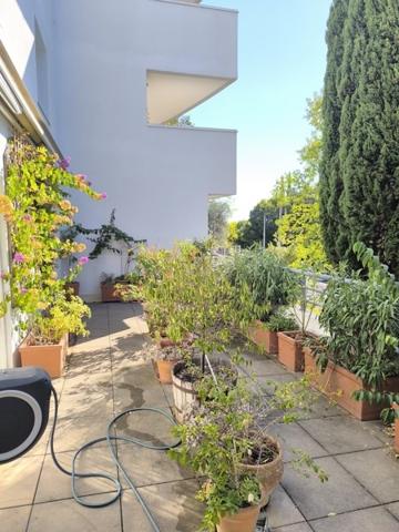 Appartement à vendre |  Montpellier |  3 pièces | 64 m²