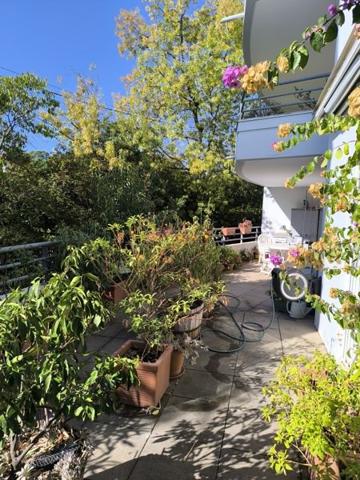 Appartement à vendre |  Montpellier |  3 pièces | 64 m²