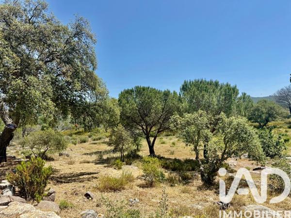 Maison à vendre 10 pièces 247 m² Vidauban