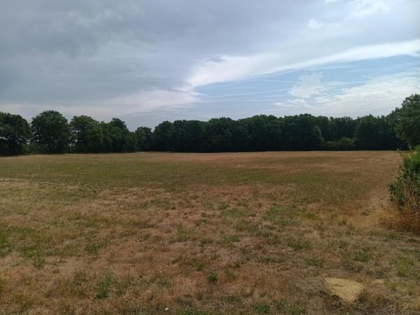 Vente ferme L Isle Jourdain (86150), 131.00m² avec 4 pièce(s) dont 2 chambre(s) sur 567892.00m² de terrain. La Bruyere Immobilier