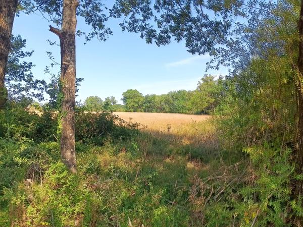 Vente ferme L Isle Jourdain (86150), 131.00m² avec 4 pièce(s) dont 2 chambre(s) sur 567892.00m² de terrain. La Bruyere Immobilier