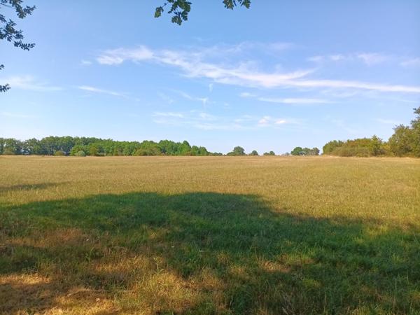 Vente ferme L Isle Jourdain (86150), 131.00m² avec 4 pièce(s) dont 2 chambre(s) sur 567892.00m² de terrain. La Bruyere Immobilier