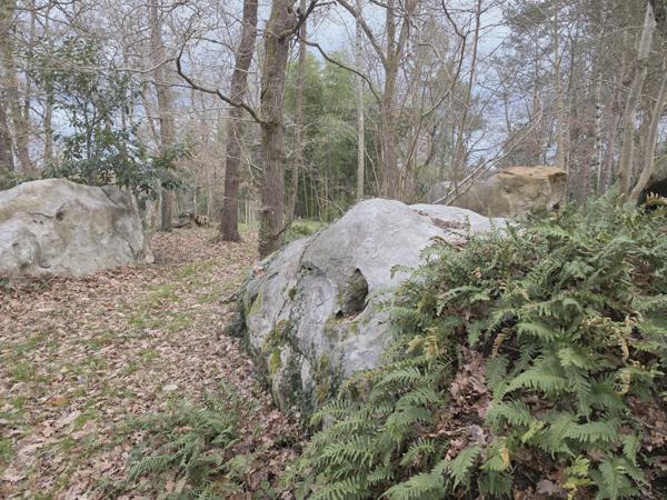 Oncy-sur-École (91490) Terrain à vendre 2 400 m² à Oncy sur Ecole