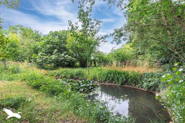 Maison à vendre 472 500 € Salles-sur-Mer 6 p 195 m² DPE D