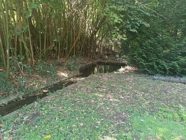 Maison de charme de 250 m² avec piscine sur 4000 m² de terrain – Un cadre de vie privilégié à Coutras (33230)