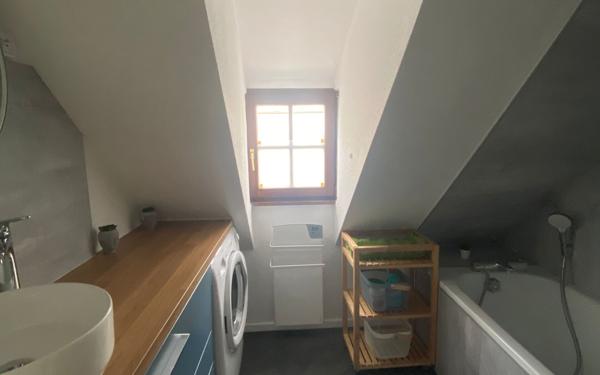 Appartement à louer    1 pièce •  Strasbourg