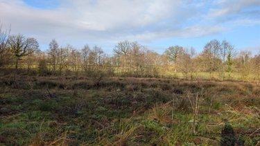 Terrain de loisirs - Bois - Etang à vendre à La Lande-d'Airou dans la Manche (50800), ref : 50038-2698