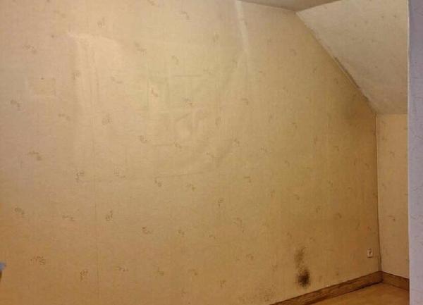 Maison à vendre    3 pièces •  Senones