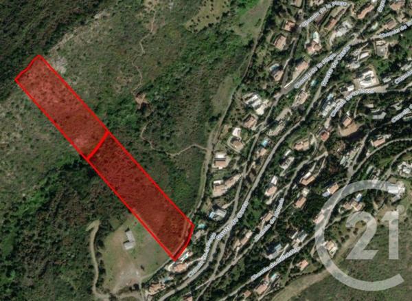 Terrain à vendre  26904 m2 ST FLORENT - 202