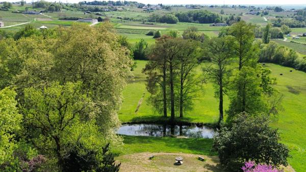 Château plus 5 maisons et des dépendances sur 39 hectares