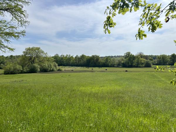 Château plus 5 maisons et des dépendances sur 39 hectares