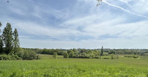 Château plus 5 maisons et des dépendances sur 39 hectares