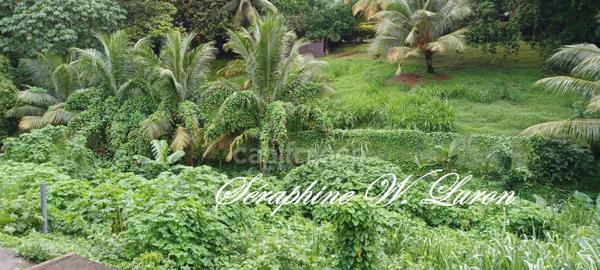 Dpt (972), à vendre maison 7 p - 170 m² - Terrain de 389,00 m²