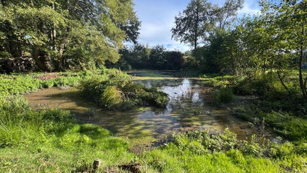 LES CLOUZEAUX MAISON A VENDRE EXCLUSIVITE AMANDA