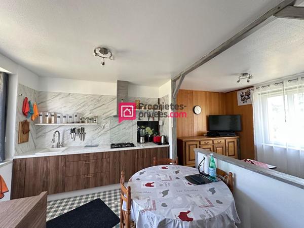 Maison ancienne Chinon 12 pièce(s) 275m2 avec 3 gîtes et terrain 2,5ha