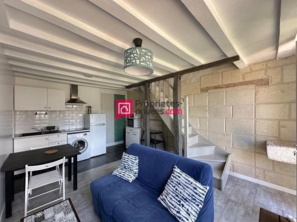 Maison ancienne Chinon 12 pièce(s) 275m2 avec 3 gîtes et terrain 2,5ha