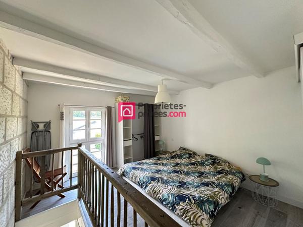 Maison ancienne Chinon 12 pièce(s) 275m2 avec 3 gîtes et terrain 2,5ha