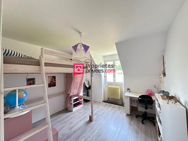 Maison ancienne Chinon 12 pièce(s) 275m2 avec 3 gîtes et terrain 2,5ha