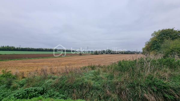 Terrain de 1 900 m²