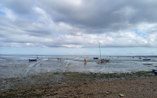 Maison à vendre    5 pièces •  Quettehou