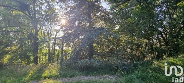 Maison à vendre 8 pièces 200 m² Fontenay-sur-Loing