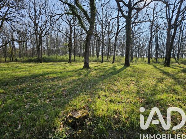 Maison à vendre 7 pièces 238 m² Angeville