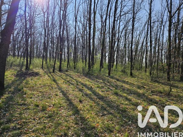 Maison à vendre 7 pièces 238 m² Angeville