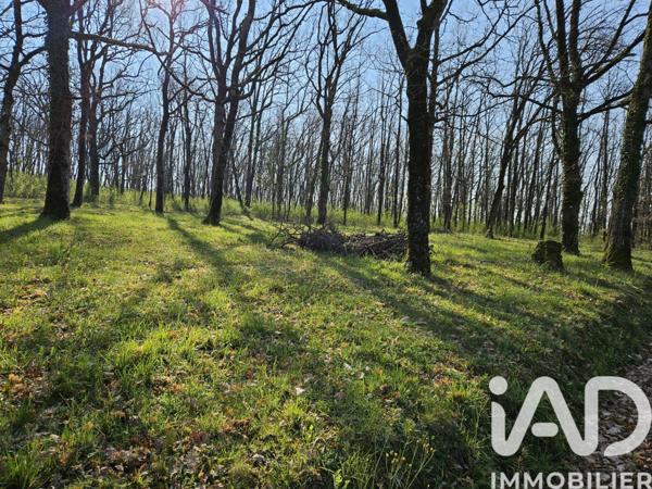 Maison à vendre 7 pièces 238 m² Angeville