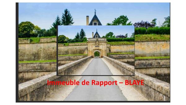 Blaye (33390) IMMEUBLE DE PIERRE – CENTRE BLAYE – JARDIN 275m²