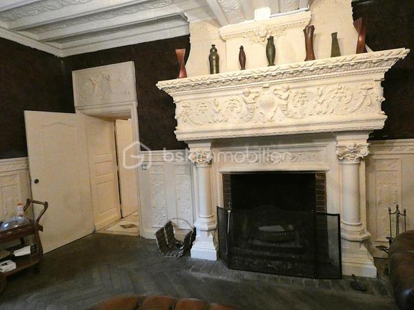 Chateau de 361,78 m²