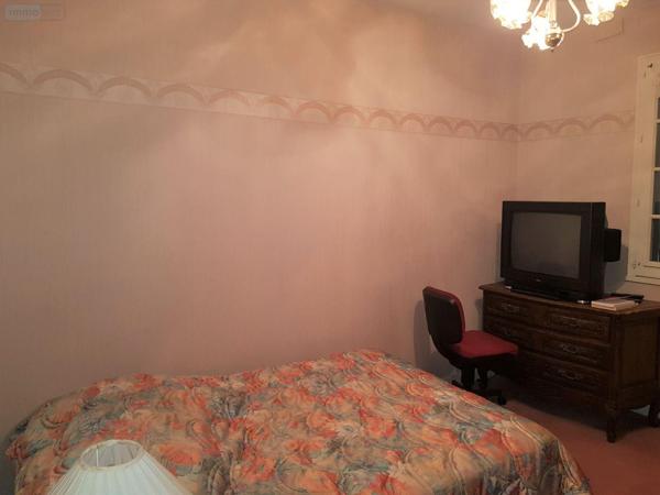 Maison à vendre à Langon sur Cher dans le Loir-et-Cher (41320), ref : 41036/2848