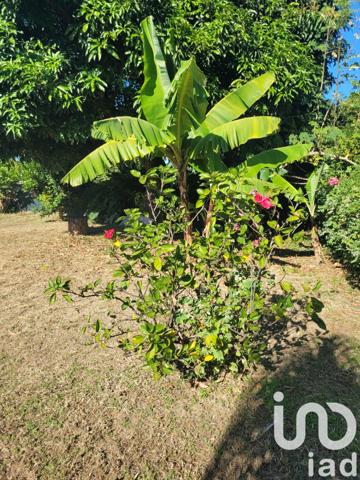 Maison à vendre 6 pièces 155 m² Saint-Pierre