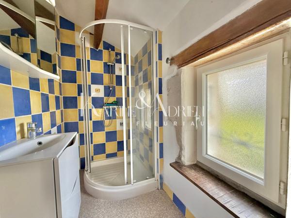 Maison en pierre 5 chambres, garages, dépendances et piscine