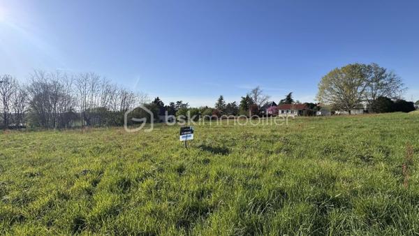 Terrain de 5 117 m²