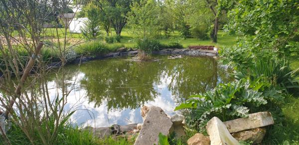 Dpt Deux Sèvres (79), à vendre proche de CELLES SUR BELLE maison P13