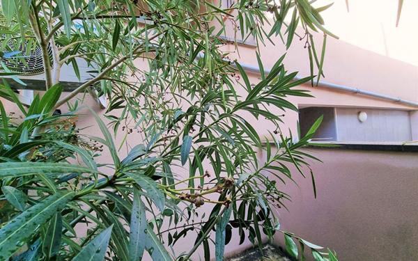 Appartement à louer    2 pièces •  Albi