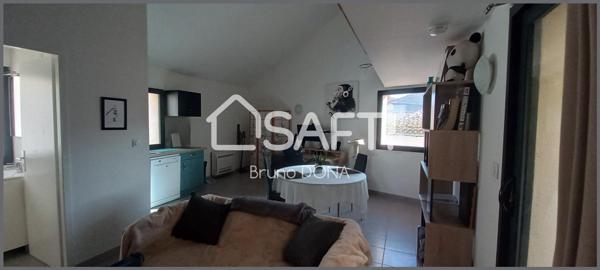 immeuble refait à neuf 2 appartements + garage