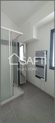 immeuble refait à neuf 2 appartements + garage