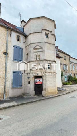 SUPERBE MAISON DE MAITRE AVEC JARDIN