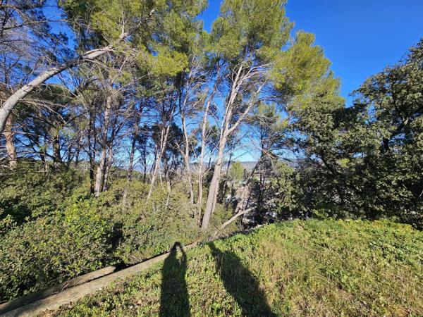 Vente Villa 5 pièces 135 m2 à Trans-en-Provence