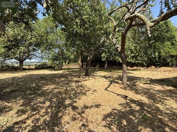 Achat - Maison Assé-le-Riboul 72170 4 pièces 90 m 2