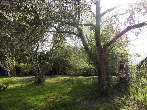 Maison à vendre à Vimartin sur Orthe en Mayenne (53160), ref : 53047-950