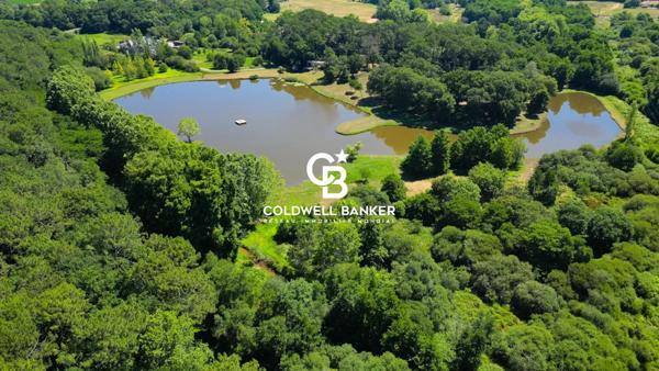 Propriété 8 pièces à vendre Angresse - 40150 / Réf: SR1-417