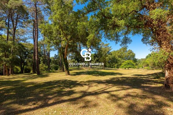 Propriété 8 pièces à vendre Angresse - 40150 / Réf: SR1-417