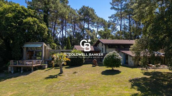 Propriété 8 pièces à vendre Angresse - 40150 / Réf: SR1-417