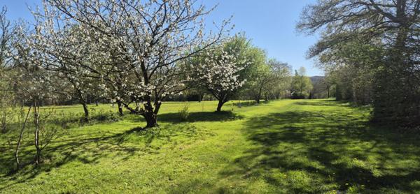 Broons  Maison avec Grand terrain