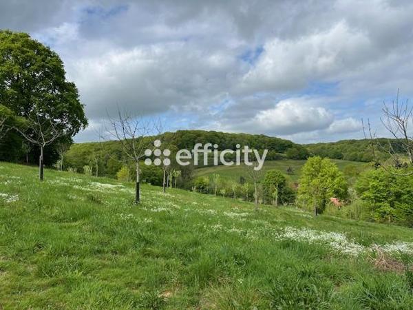 Maison 5 pièces - 80 m²