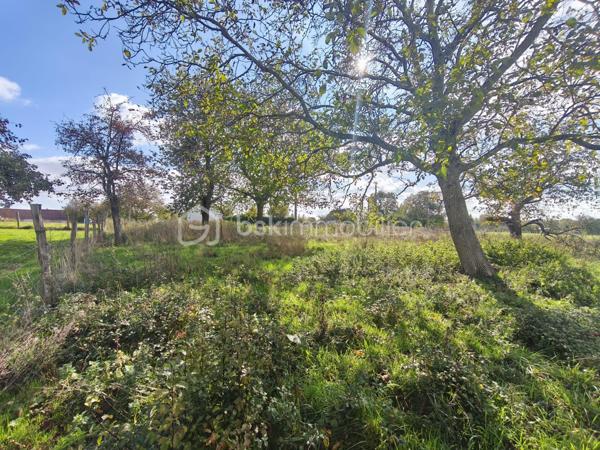 Terrain de 1 113 m²