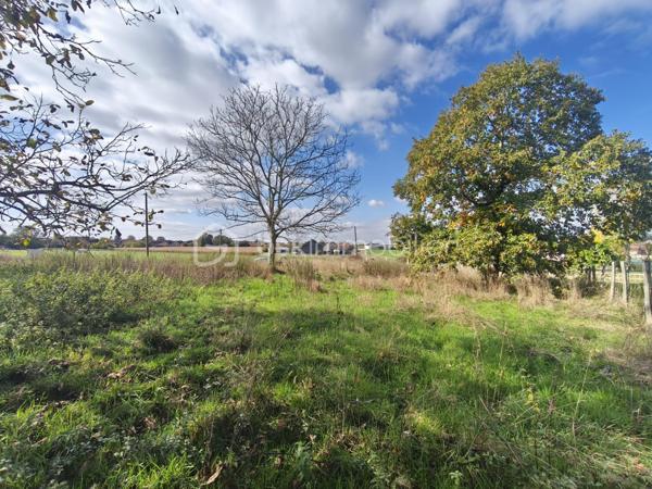 Terrain de 1 113 m²