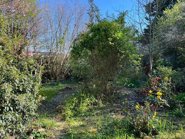 Maison familiale avec immense terrain verdoyant au Lude